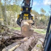 Pinza MB-G500 S4 levantando tronco en obra forestal. También disponibles MB-G450 S4 MB-G400 S4 y MB-G350 S4 para excavadoras ligeras.