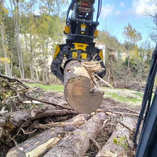 Pinza MB-G500 S4 levantando tronco en obra forestal. También disponibles MB-G450 S4 MB-G400 S4 y MB-G350 S4 para excavadoras ligeras.