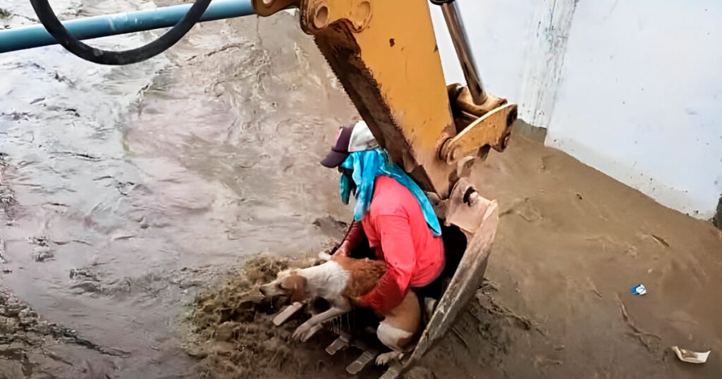 Operación de rescate durante inundación con excavadora ayudando a una persona atrapada en aguas crecidas.