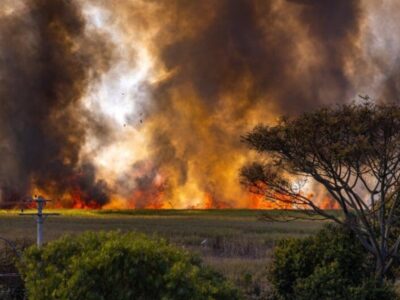 Impacto Cambio Climatico En Agricultura Diseño Sector Agrícola.