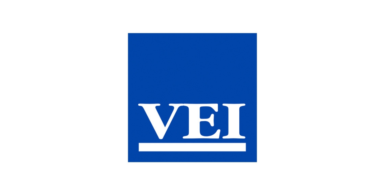 VEI Group GRUPOCIBSA